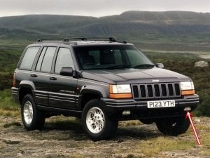 1996-1998 JEEP GRAND CHEROKEE ZJ ÖN SOL SİS LAMBASI (MOPAR)
